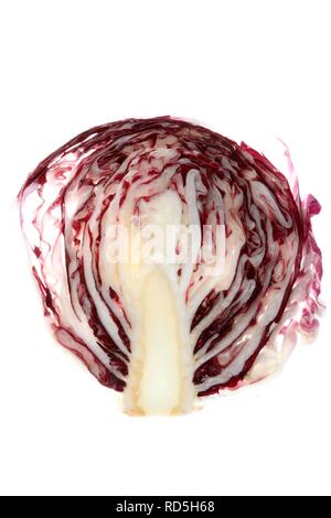 Radicchio (Cichorium intybus var. foliosum), in Scheiben geschnitten Stockfoto