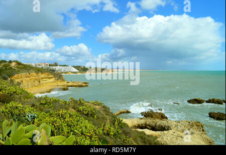 Albufeira Auramar Beach Kakteen wachsen an der Küste der Algarve Stockfoto