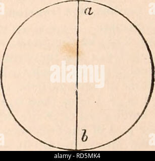 . Die cyclopaedia von Anatomie und Physiologie. Anatomie, Physiologie, Zoologie. 414 MOTION. Die Zahl der beweglichen Gelenke in einem Skelett bestimmt den Grad ihrer Mobilität innerhalb selbst; und die Art und Anzahl dieser Gelenke des Bewegungsapparates bestimmen die Anzahl und Anordnung der Muskeln handeln - auf ihnen ing. Siehe Artikulation. Die Stärke, Dichte und Elastizität der externen Skelett der Tiere wurden aber sehr teilweise untersucht oder eine Ob-jekt der physiologischen oder mechanische en-quiry, trotz ihrer großen Bedeutung im Tier Wirtschaft ge Stockfoto