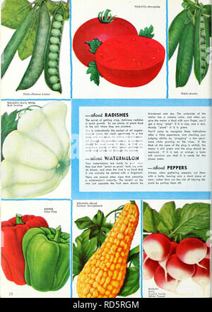 . Currie's Garten jährliche: 1939. Blumen Samen Kataloge, Leuchtmittel (Pflanzen) Samen Samen Kataloge Kataloge; Gemüse; Baumschulen (Gartenbau) Kataloge; Pflanzen, Zierpflanzen Kataloge; Gartengeräte und Zubehör Kataloge. . Bitte beachten Sie, dass diese Bilder sind von der gescannten Seite Bilder, die digital für die Lesbarkeit verbessert haben mögen - Färbung und Aussehen dieser Abbildungen können nicht perfekt dem Original ähneln. extrahiert. Currie Brüder Unternehmen; Henry G. Gilbert Baumschule und Saatgut Handel Katalog Kollektion. Milwaukee, Wis: Currie Bros Co. Stockfoto