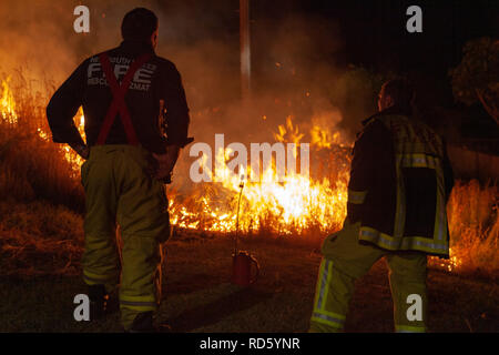 Teralba, NSW/Australien - Oktober 24, 2012: Feuerwehrleute oder Feuerwehrmänner Überwachung backburning und Löschmittel ein wildfire Gras und Bushfire zu schützen. Stockfoto