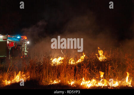 Teralba, NSW/Australien - Oktober 24, 2012: Fire Truck und Feuerwehrleute oder Feuerwehrmänner backburning und Löschmittel ein wildfire Gras und Bushfire zum Protein Stockfoto