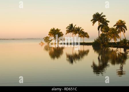 Laguna del Tesoro, Schatz Lagune bei Sonnenaufgang, Zapata Halbinsel, Kuba, Mittelamerika Stockfoto