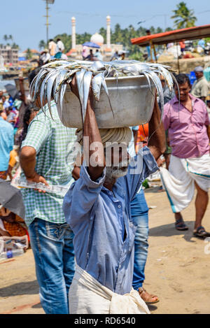 Vizhinjam Beach Fischmarkt, in der Nähe von Kovalam, Kerala, Indien Stockfoto