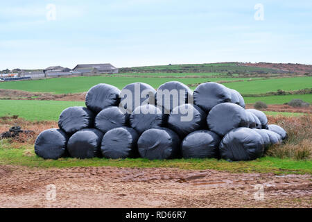 Stapel der schwarze Plastikfolie eingewickelte Silageballen, Cornwall, UK - Johannes Gollop Stockfoto