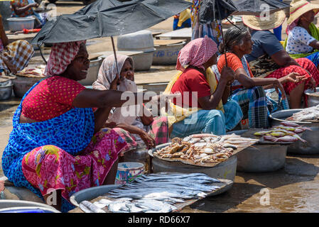 Vizhinjam Beach Fischmarkt, in der Nähe von Kovalam, Kerala, Indien Stockfoto