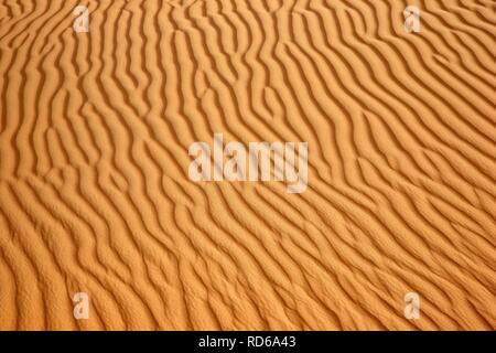 Roter Sand, Dünen in der Wüste Rub' al-Khali oder Leere Viertel, Abu Dhabi, Vereinigte Arabische Emirate, Naher Osten Stockfoto