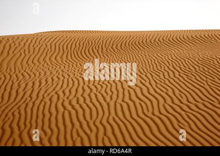 Roter Sand, Dünen in der Wüste Rub' al-Khali oder Leere Viertel, Abu Dhabi, Vereinigte Arabische Emirate, Naher Osten Stockfoto