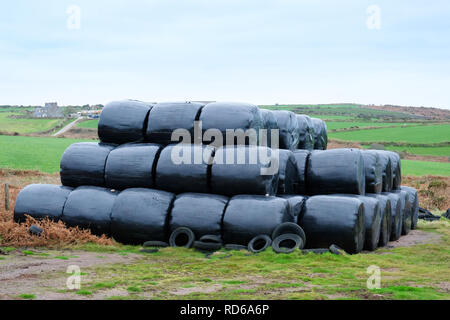 Stapel der schwarze Plastikfolie eingewickelte Silageballen, Cornwall, UK - Johannes Gollop Stockfoto