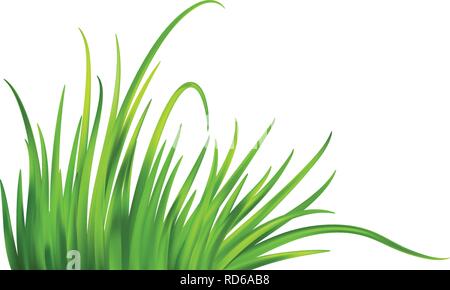 Frash Spring Green Gras Hintergrund. Vector Illustration Stock Vektor