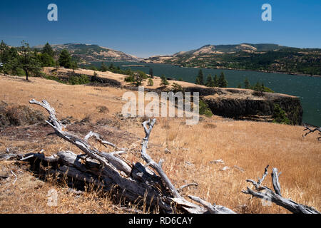 Catherine Creek Columbia River Gorge Staat Washington USA Stockfoto