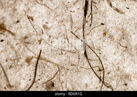 Abstrakte schöne handgemachte transparentes Papier mit der Natur Elemente recycelt. Braun warme Tönung. Handwerk. Geeignet für Hintergründe mit Platz für Text Stockfoto