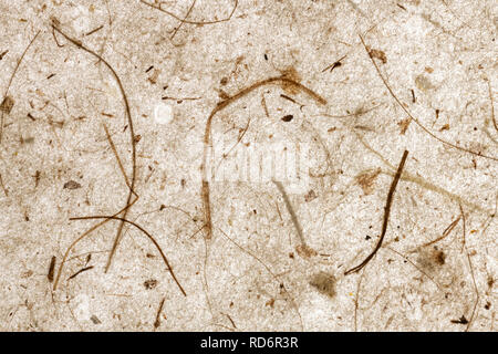 Abstrakte schöne handgemachte transparentes Papier mit der Natur Elemente recycelt. Braun warme Tönung. Handwerk. Geeignet für Hintergründe mit Platz für Text Stockfoto