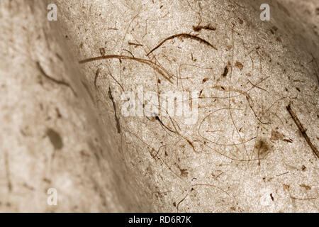 Abstrakte schöne handgemachte transparentes Papier mit der Natur Elemente recycelt. Braun warme Tönung. Handwerk. Geeignet für Hintergründe mit Platz für Text Stockfoto