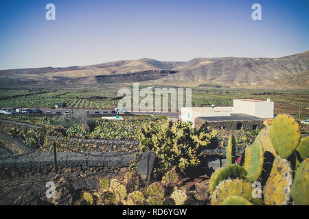 Beliebte Touristen Ort Jardin de Cactus (Kakteen Garten) in Guatiza, Lanzarote, Kanarische Inseln, Las Palmas, Spanien Stockfoto