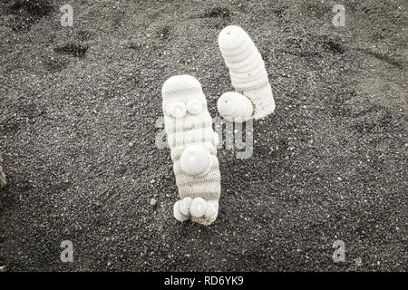 Weiß Mammillaria haageana Kakteen Kakteen Garten bei Guatiza, Lanzarote, Kanarische Inseln, Las Palmas, Europa. Stockfoto