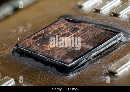 AMD AthlonXP ThoroughbredB KIXIB 0401 UPMW 2015-08.31.08 -21-03-ZS-PMax-Stack- Stockfoto