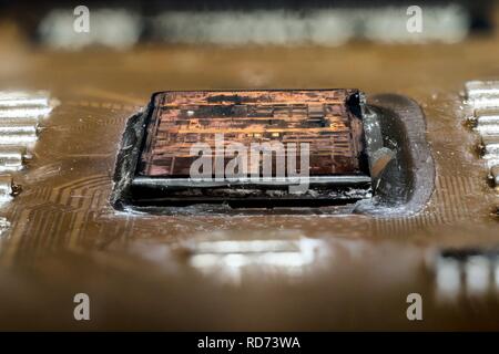 AMD AthlonXP ThoroughbredB KIXIB 0401 UPMW 2015-08.09.46 -21-03-ZS-PMax-Stack- Stockfoto