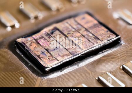 AMD AthlonXP ThoroughbredB KIXIB 0401 UPMW 2015-08.42.35 -21-03-ZS-PMax-Stack- Stockfoto