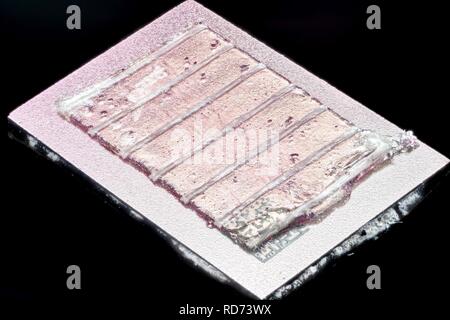 AMD AthlonXP ThoroughbredB KIXIB 0401 UPMW 2015-08.39.56 -21-05-ZS-PMax-Stack- Stockfoto