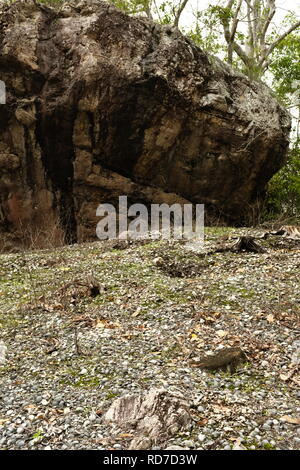 Aboriginal shell Midden die Vielfalt boardwalk am Cape Hillsborough National Park, Queensland, Australien Stockfoto