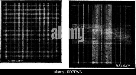 . Bakteriologie und Mykologie von Lebensmitteln. Essen. Breuer RuKng Fuchs und Rosenthal herrschenden Turk Herrschenden'. Zappert-Ewing biirker Nr. 1 Urteil Urteil. Bitte beachten Sie, dass diese Bilder sind von der gescannten Seite Bilder, die digital für die Lesbarkeit verbessert haben mögen - Färbung und Aussehen dieser Abbildungen können nicht perfekt dem Original ähneln. extrahiert. Tanner, Fred Wilbur, 1888-1957. New York, John Wiley & Amp; Söhne, Inc.; [etc. , Etc. ] Stockfoto