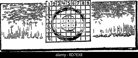 . Bakteriologie und Mykologie von Lebensmitteln. Essen. 10 bakteriologische Apparate von dieser Aussetzung zu einem zweiten Rohr von stenle Wasser. Dieser Vorgang wird solange wiederholt, bis seveial Konzentration der Probe ar 6 gesichert. Teile dieser sind in sterilen Petrischalen oder unter diesen Bedingun- gen in die Rohre des medmm geschmolzen. Diese werden dann in die Petrischale legen. Isolation von Reinkulturen. Eine reine Kultur können auf verschiedene Art und Weise definiert werden, aber in diesem Zusammenhang als der Abstieg - Ameisen von einer einzigen Zelle angesehen werden kann. Jede einzelne Zelle auf der Petrischalen gegossen m des vorstehenden Absatzes wird devel Stockfoto