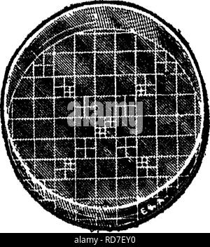 . Bakteriologie und Mykologie von Lebensmitteln. Essen. Abb. 7.-^ Wolffhuegel zählen Geräte.. Bitte beachten Sie, dass diese Bilder sind von der gescannten Seite Bilder, die digital für die Lesbarkeit verbessert haben mögen - Färbung und Aussehen dieser Abbildungen können nicht perfekt dem Original ähneln. extrahiert. Tanner, Fred Wilbur, 1888-1957. New York, John Wiley & Amp; Söhne, Inc.; [etc. , Etc. ] Stockfoto