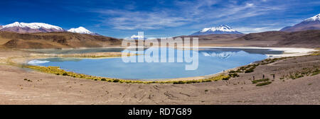 Charcota Lagune bolivianischen Altiplano in den Weg zum Salar de Uyuni, ist eine erstaunlich hohe Höhe Lagune mit einer atemberaubenden vulkanischen Landschaft der Anden Stockfoto