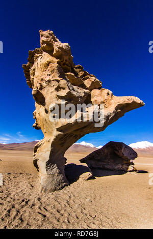 Arbol de Piedra einen Stein in der Form eines Baums auf Siloli Wüste auf dem Weg zum Salar de Uyuni, Bolivien, Südamerika, eine Ehrfurcht felsige Formation, Anden Stockfoto