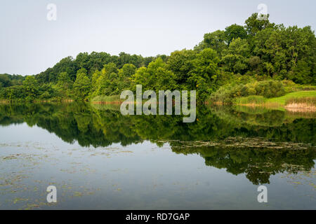 Die dicken bewaldete Fläche von Cuyahoga Valley National Park, Ohio. Stockfoto