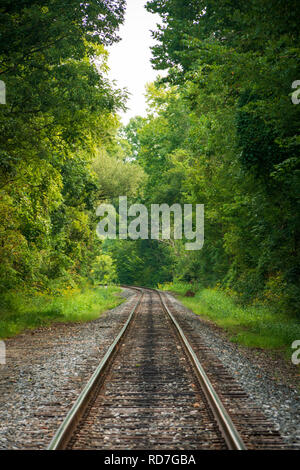 Zug durch den dichten Wald des Ohio nur National Park, Cuyahoga Valley. Stockfoto