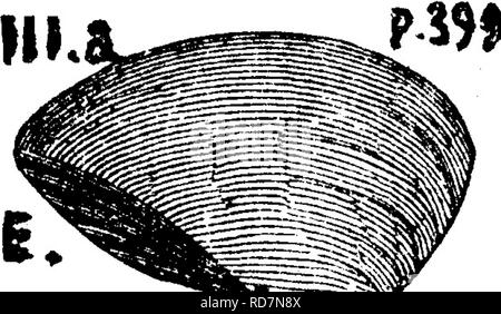 . Ein Wörterbuch der Fossilien von Pennsylvania und Nachbarstaaten in die Berichte und Kataloge der Umfrage benannt... Paläontologie. . Bitte beachten Sie, dass diese Bilder sind von der gescannten Seite Bilder, die digital für die Lesbarkeit verbessert haben mögen - Färbung und Aussehen dieser Abbildungen können nicht perfekt dem Original ähneln. extrahiert. Lesley, J. S. (J. Peter), 1819-1903; Pennsylvania. Kollegium der Kommissionsmitglieder für die Zweite Geological Survey. Harrisburg, Vorstand der Kommissare für die Geologische Übersicht Stockfoto