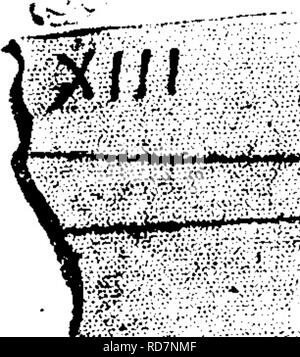 . Ein Wörterbuch der Fossilien von Pennsylvania und Nachbarstaaten in die Berichte und Kataloge der Umfrage benannt... Paläontologie. n ist. Bd. 3, Pi. 14; Schimper, Pal. Veg.; Lesquereux, Kohle Flora, Seite 424, Tafel 68, Abb. 2.) CoUett's Indiana Bericht, 1883, Seite 90, Tafel 18, Abb. 5, ein Fragment auf Traube Creek gefunden. 111. Abbn. 7, 8, Frucht der Lepidophloios durch Gollett auf Seite diskutiert S 9,- XIIL Lepidophyllum Acuminatum. Lesq. (Namepre - durch Gutbier, 1843, A. O. Miller.) Kol-lett Indiana Rt. von 1883, Seite 69,/^ TB^^ ---™^^^"^^". £^//Platte 18, Abb. belegt. 6. 9; $ ^!^^" Ich: ^: &gt; i^i |!|:!;' | Sfe: Stockfoto