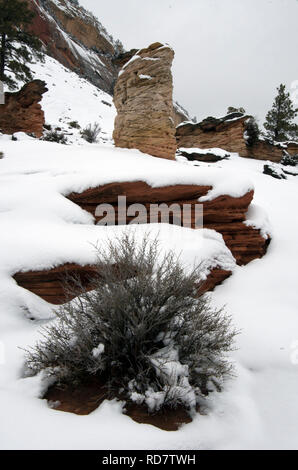Ein "HOODOO" ist eine seltsame Sandsteinfelsen Bildung in der Regel in den Zion National Park und Bryce Canyon National Park gefunden. Stockfoto