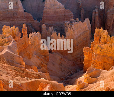 USA, Utah, Cedar Breaks National Monument, erodiert Sandstein Formationen unter Punkt Supreme bei Sonnenuntergang. Stockfoto