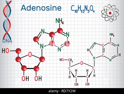 Adenosin-Purin-nukleosid-Molekül, ist wichtiger Teil der ATP, ADP, cAMP, RNA, DNA. Blatt Papier in einem Käfig. Strukturelle chemische Formel und Mole Stock Vektor