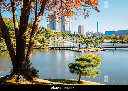 Hamarikyu Garten Teich und Herbst Ahorn in Tokio, Japan. Stockfoto