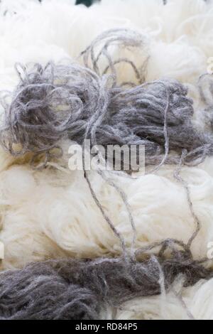 Weiße und graue wolle, nachdem sie aus gewebten Faden gesponnen worden, in Woollen Mill Stockfoto