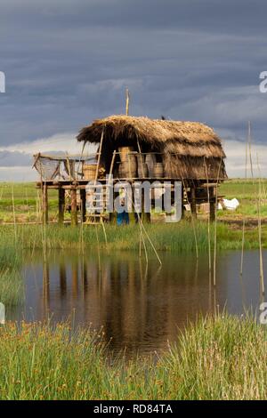 Das Programm, "The Vikings", TV-Serie über das Leben von ein Wikingerdorf, gebaut in einem Feuchtgebiet - Kilcoole Sumpf geschützt als SPA-Ort der besonderen Schutz. durch irische Govt, für seine biologische / Erhaltung Vlue, besonders Forr Zwergseeschwalbe (Sterna Albifrons) Fütterung und Watvögel nisten. Bedroht durch unangemessene Entwicklung der beliebten TV-Serie-Verfilmung Stockfoto