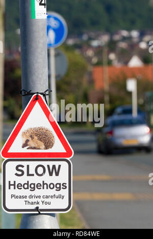 Igel (Erinaceus europaeus), Zeichen warnen nicht zu schnell zu fahren und gefährdete Igel, die versuchen, die Straße im städtischen Bereich zu töten. Stockfoto