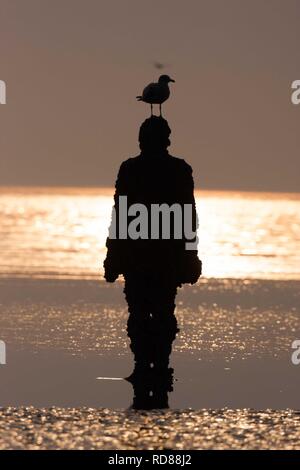 Sir Antony Gormley gemeißelte Figuren mit Möwe auf dem Kopf bei Sonnenuntergang, einen anderen Ort Stockfoto