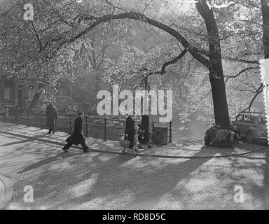 Amsterdamse Grachten in Bestanddeelnr herfsttooi, 907-4139. Stockfoto