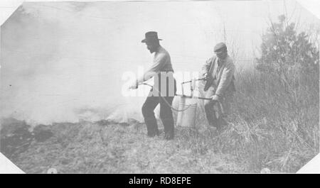 . Eisenbahn Wald Brandschutz. Waldbrände; Brandschutz; Feuerlöschung. 47. Beleuchtung ein Hoi 5 Feuer im Gras mit einem zwei Mann Pumpe Connecticut *. Bitte beachten Sie, dass diese Bilder sind von der gescannten Seite Bilder, die digital für die Lesbarkeit verbessert haben mögen - Färbung und Aussehen dieser Abbildungen können nicht perfekt dem Original ähneln. extrahiert. Lamont, John Donald. [Ithaca, N.Y.] Cornell University Stockfoto