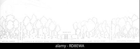 . Eisenbahn Wald Brandschutz. Waldbrände; Brandschutz; Feuerlöschung. 33. Natürliche WALD CLEARCO&amp; VERDÜNNTE ZONE lOOrECTWIDE CLEAHXD eine AUSGEDÜNNTE 20 mich lOOEEETWlDE Abb. 4.-Diagramm von Railroad Fire Line gebaut auf ebenem Boden nach Kapitel 74, Gesetze von 1909. Gaskill (1909) sagt, "/. Feuer Zeile wie diese soll damit zu arbeiten: Wenn ein Funke aus dem looo geworfen - Motiv stack, das Laub der Bäume können so sein, dass sein Feuer verloren geht. Wenn ein Funke ist nicht so getötet und den Boden erreicht, lebendig, es ist fast sicher, dass Sie mit - fallen in den abisolierten Strip* gibt es finden Stockfoto