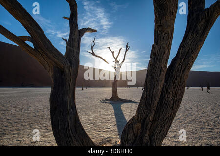 Sonnenaufgang über Dünen bei Deadvlei im Namib-Naukluft-Nationalpark, Namibia, Afrika Stockfoto