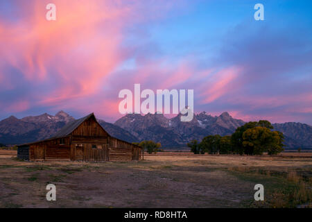 Sunrise Molton Scheune auf Mormon Reihe, Grand Teton National Park, Wyoming Stockfoto