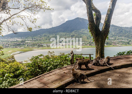 Der Buyan See (Danau Buyan) von der Spitze. Bedugul, Buleleng, Bali, Indonesien. Stockfoto