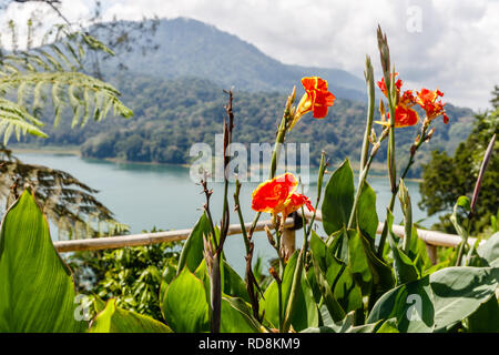 Der Buyan See (Danau Buyan) von der Spitze. Bedugul, Buleleng, Bali, Indonesien. Stockfoto
