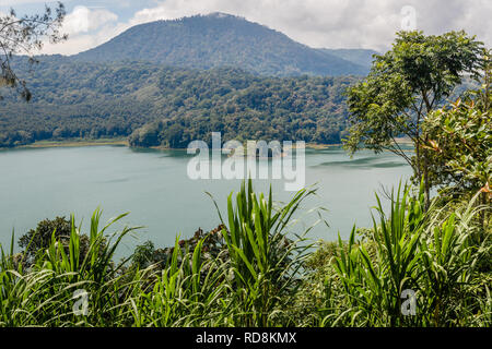 Der Buyan See (Danau Buyan) von der Spitze. Bedugul, Buleleng, Bali, Indonesien. Stockfoto